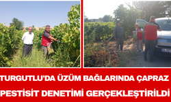 Turgutlu'da üzüm bağlarında çapraz pestisit denetimi gerçekleştirildi