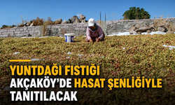 Yuntdağı Fıstığı Akçaköy’de Hasat Şenliğiyle Tanıtılacak
