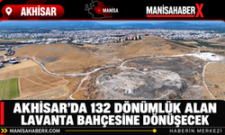 Akhisar’da 132 Dönümlük Alan Lavanta Bahçesine Dönüşecek