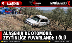 Alaşehir’de Otomobil Zeytinliğe Yuvarlandı: 1 Ölü