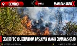 Demirci’de Yol Kenarında Başlayan Yangın Ormana Sıçradı
