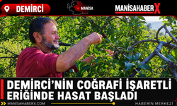 Demirci’nin Coğrafi İşaretli Eriğinde Hasat Başladı