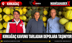 Kırkağaç Kavunu Tarladan Depolara Taşınıyor