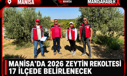 Manisa’da 2026 Zeytin Rekoltesi 17 İlçede Belirlenecek