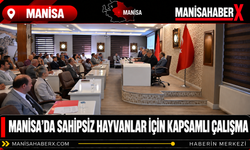 Manisa’da Sahipsiz Hayvanlar İçin Kapsamlı Çalışma