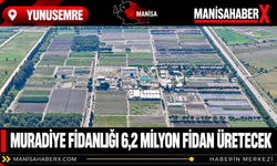 Muradiye Fidanlığı 6,2 Milyon Fidan Üretecek
