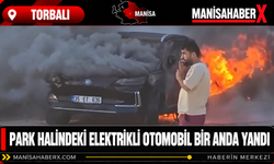 Park Halindeki Elektrikli Otomobil Bir Anda Yandı