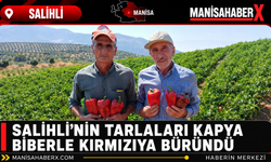 Salihli’nin Tarlaları Kapya Biberle Kırmızıya Büründü