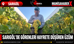Sarıgöl’de Görenleri Hayrete Düşüren Üzüm