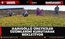 Sarıgöllü Üreticiler Üzümlerini Kurutarak Bekletiyor