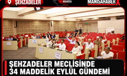 Şehzadeler Meclisinde 34 Maddelik Eylül Gündemi
