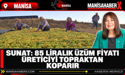 Sunat: 85 Liralık Üzüm Fiyatı Üreticiyi Topraktan Koparır