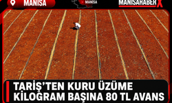 TARİŞ’ten Kuru Üzüme Kilogram Başına 80 TL Avans