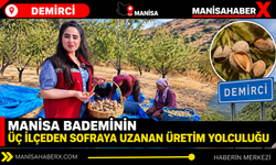 Manisa bademinin üç ilçeden sofraya uzanan üretim yolculuğu.