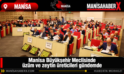 Manisa Büyükşehir Meclisinde üzüm ve zeytin üreticileri gündemde
