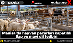 Manisa’da hayvan pazarları kapatıldı: Şap ve mavi dil tedbiri