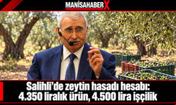 Salihli’de zeytin hasadı hesabı: 4.350 liralık ürün, 4.500 lira işçilik