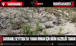 Saruhanlı Seyitoba’da yanan orman için dikim hazırlığı tamam