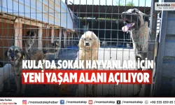 Kula’da sokak hayvanları için yeni yaşam alanı açılıyor