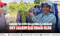 Sarıgöl’de Üzüm Hasadında 5,5 Kiloluk Dev Salkım İlgi Odağı Oldu