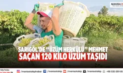 Sarıgöl’de “Üzüm Herkülü” Mehmet Saçan 120 Kilo Üzüm Taşıdı