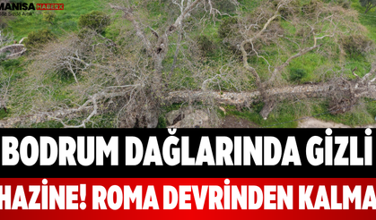 Bodrum Dağlarında Gizli Hazine! Roma Devrinden Kalma