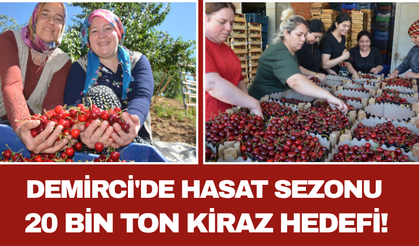 Demirci'de Hasat Sezonu: 20 Bin Ton Kiraz Hedefi!