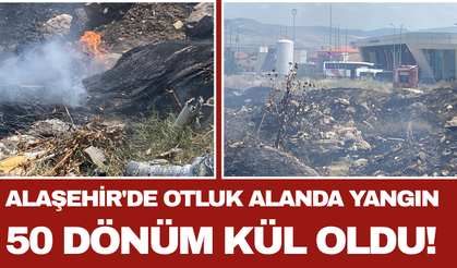 Alaşehir'de Otluk Alanda Yangın: 50 Dönüm Kül Oldu!