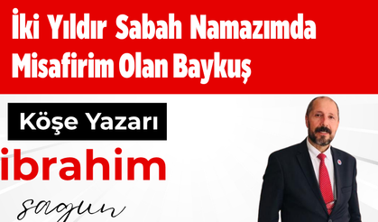 İki Yıldır Sabah Namazımda Misafirim Olan Baykuş