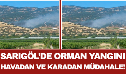 Sarıgöl’de Orman Yangını: Havadan ve Karadan Müdahale!