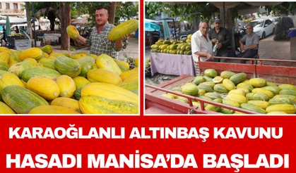 Karaoğlanlı Altınbaş Kavunu Hasadı Manisa’da Başladı