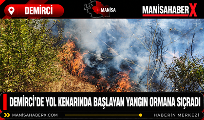 Demirci’de Yol Kenarında Başlayan Yangın Ormana Sıçradı