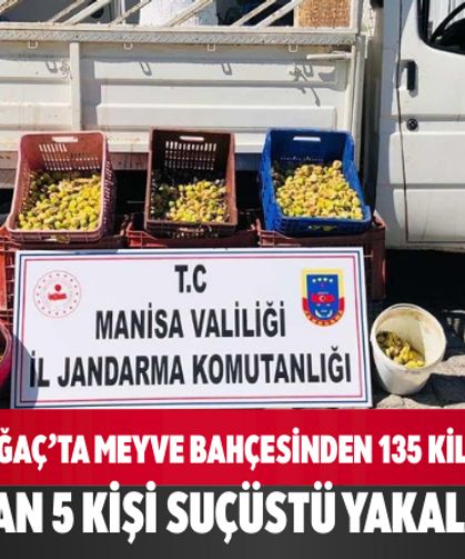 Kırkağaç’ta Meyve Bahçesinden 135 Kilo İncir Çalan 5 Kişi Suçüstü Yakalandı