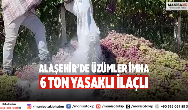 Alaşehir’de üzümler imha 6 ton yasaklı ilaçlı