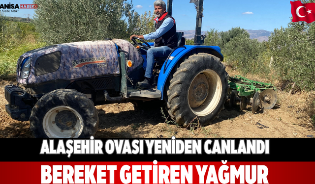 Alaşehir Ovası Yeniden Canlandı Bereket Getiren Yağmur