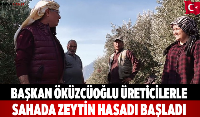 Başkan Öküzcüoğlu Üreticilerle Sahada Zeytin Hasadı Başladı