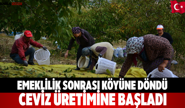Emeklilik sonrası köyüne döndü ceviz üretimine başladı