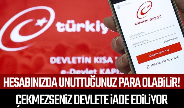 E-Devlet hesabınızda unuttuğunuz para olabilir!