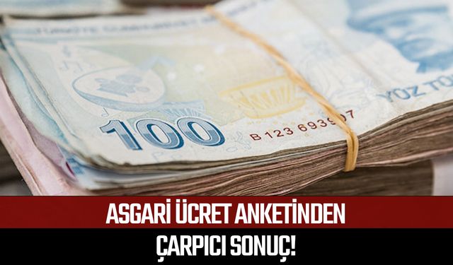 Asgari ücret anketinden çarpıcı sonuç!