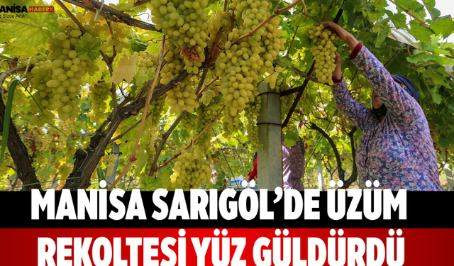 Manisa Sarıgöl’de üzüm rekoltesi yüz güldürdü
