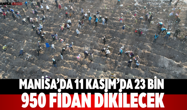 Manisa’da 11 Kasım’da 23 bin 950 fidan dikilecek