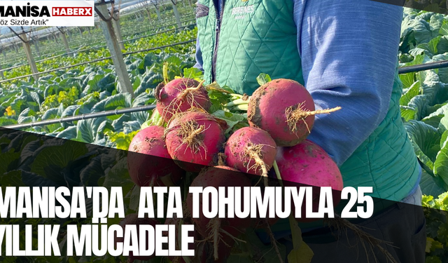 Manisa'da  Ata Tohumuyla 25 Yıllık Mücadele