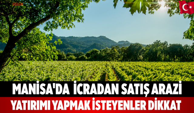 Manisa'da  İcradan Satış Arazi yatırımı yapmak isteyenler dikkat