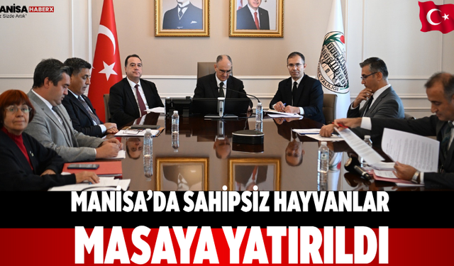 Manisa’da sahipsiz hayvanlar masaya yatırıldı