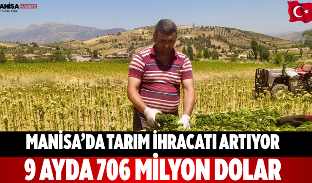 Manisa’da Tarım İhracatı Artıyor: 9 Ayda 706 Milyon Dolar