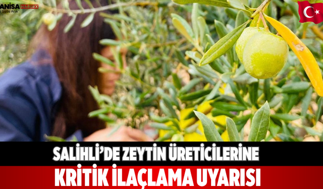 Salihli’de Zeytin Üreticilerine Kritik İlaçlama Uyarısı