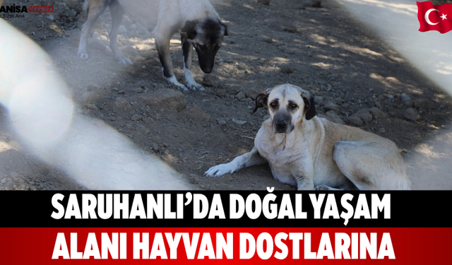 Saruhanlı’da Doğal Yaşam Alanı Hayvan Dostlarına