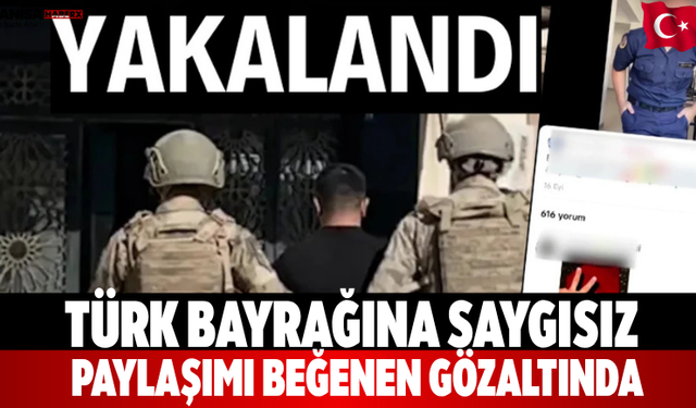 Türk bayrağına saygısız paylaşımı beğenen gözaltında