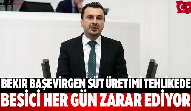 Bekir Başevirgen besici her gün zarar ediyor