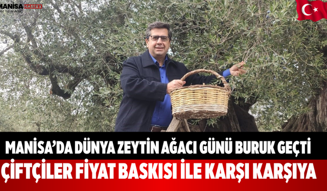 Manisa’da Dünya Zeytin Ağacı Günü Buruk Geçti